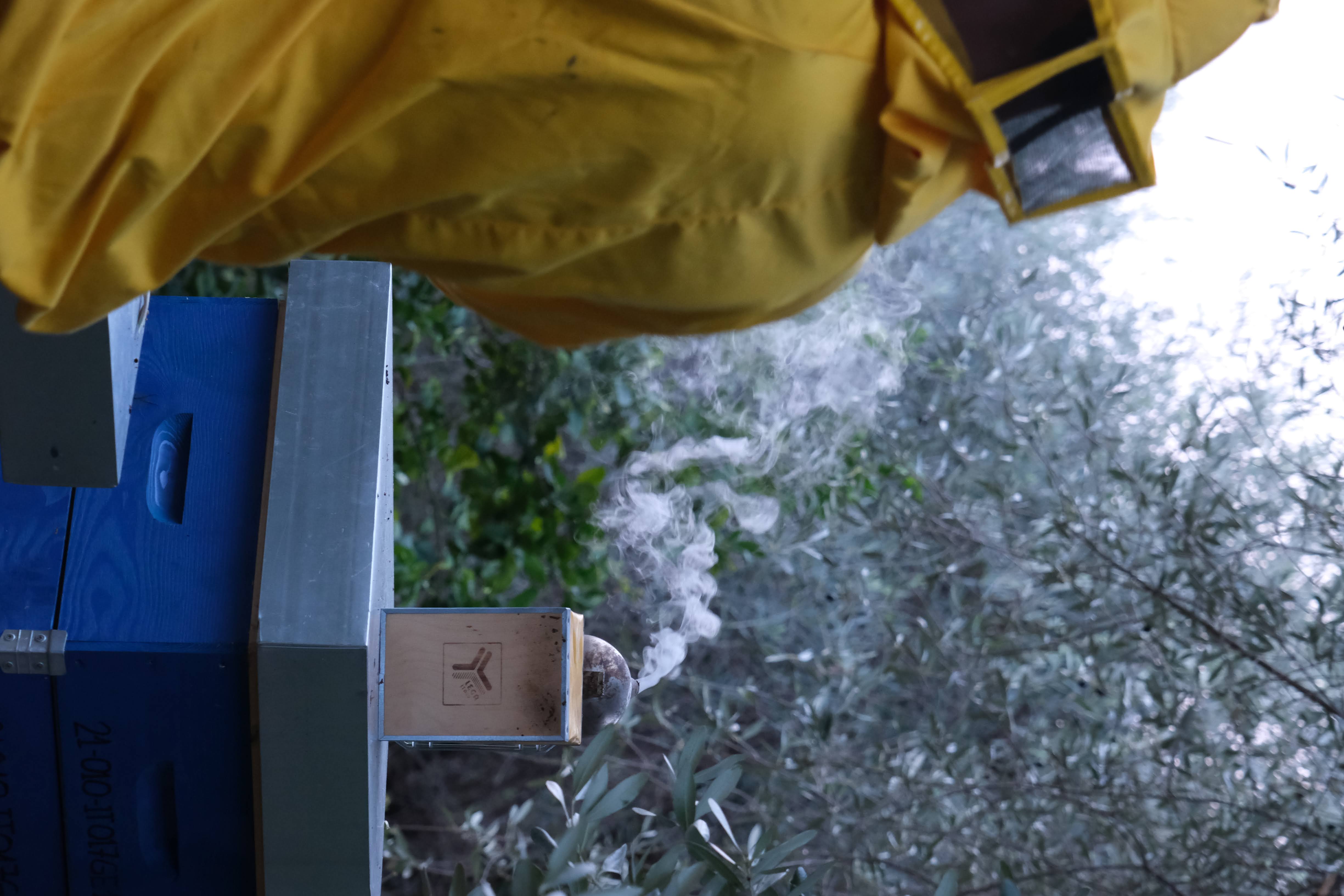 Affumicatore sull'arnia