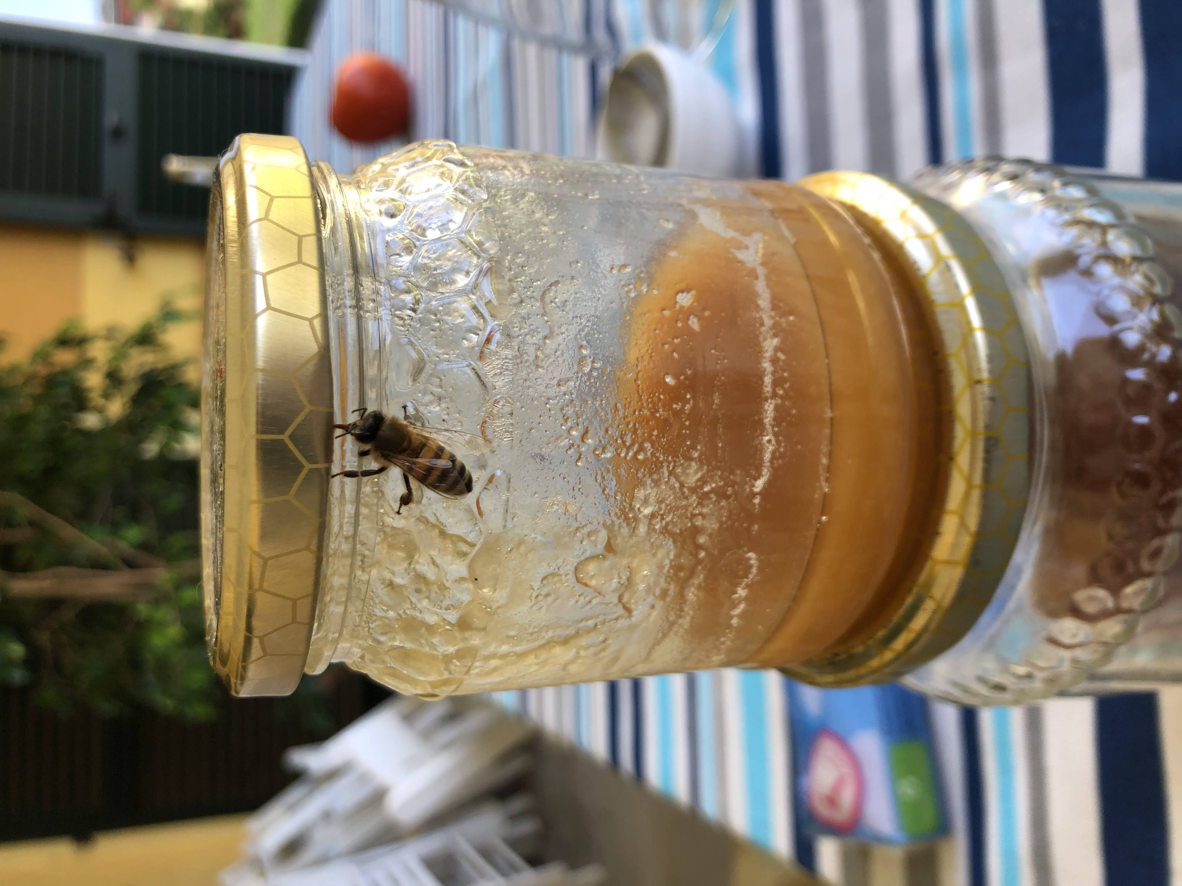 Vasetti di miele artigianale