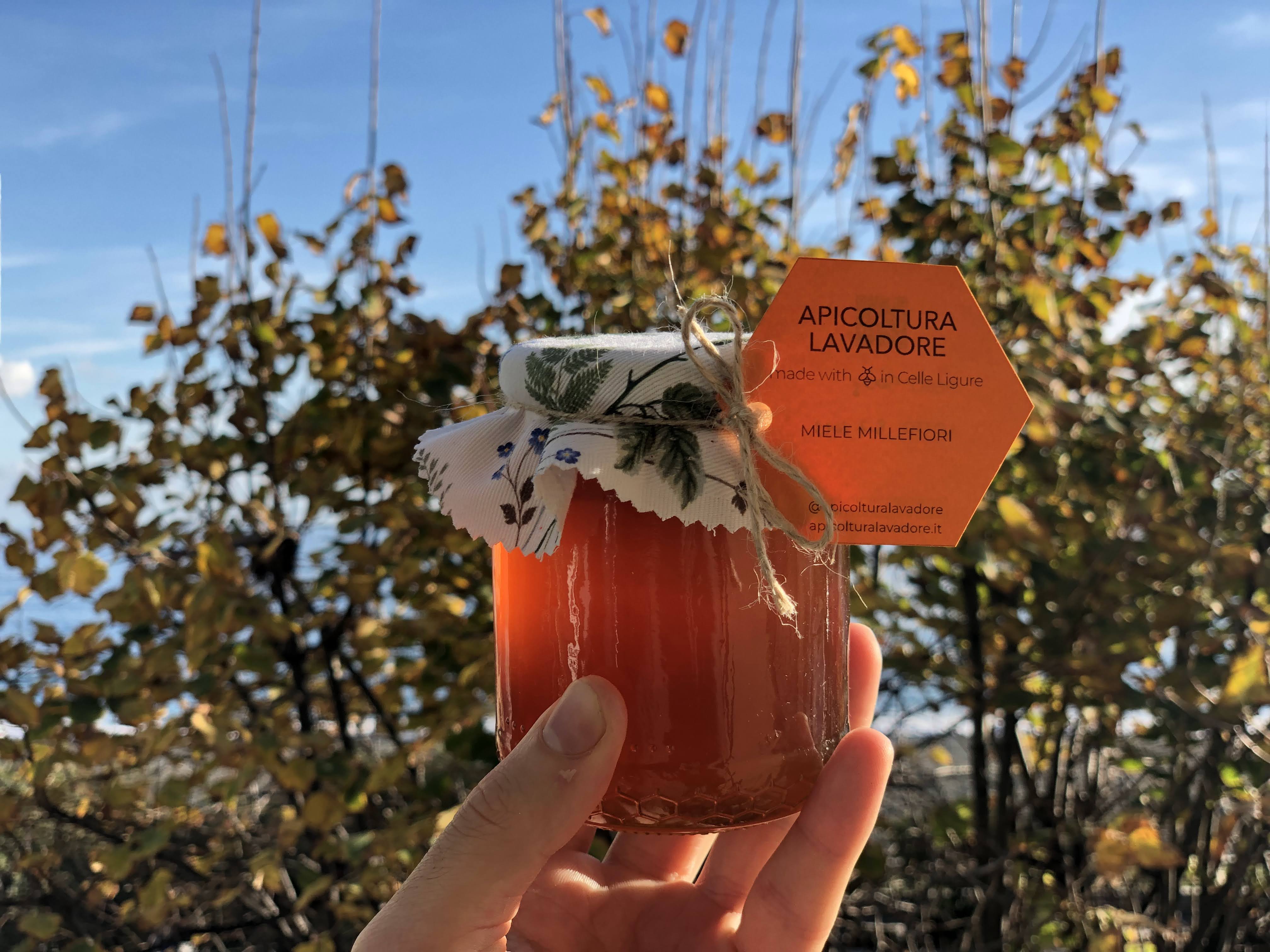 Vasetto di miele millefiori